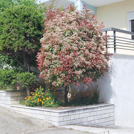 Sunshine Apartment 카발라 외부 사진